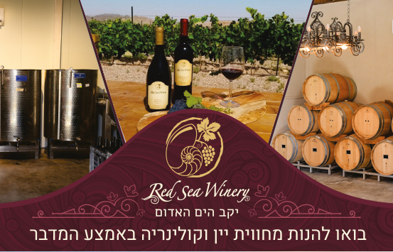 יקב הים האדום - חוויית יין וקולינרייה באמצע המדבר
